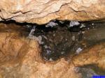 13751: Dans la grotte de la source du Guiers-Vif