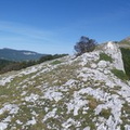 210-140927 1201